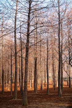  A股多家公司晚间动作频频，战略调整与业绩表现并行。 股票财经 A股多家公司晚间动作频频，战略调整与业绩表现并行。 股票财经 A股多家公司晚间动作频频，战略调整与业绩表现并行。 股票财经