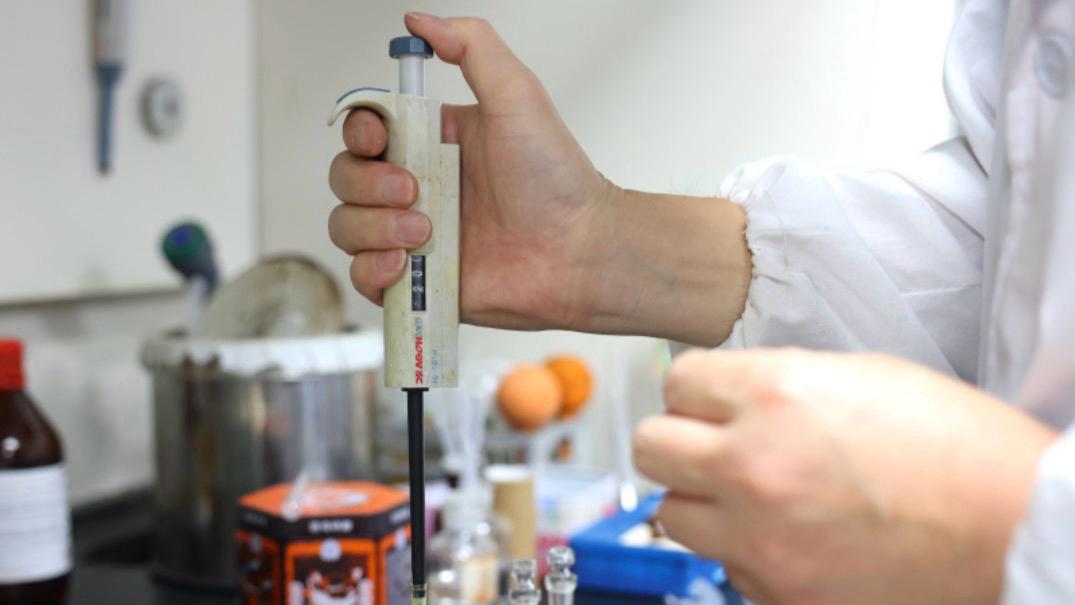  技术焦虑与战略定力：医药企业如何突破同质化困境 IT技术