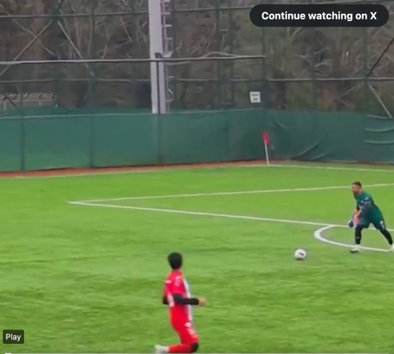  绿茵场上的生命抉择：业余联赛决赛中动物急救行为的技术复盘 体育新闻 绿茵场上的生命抉择：业余联赛决赛中动物急救行为的技术复盘 体育新闻