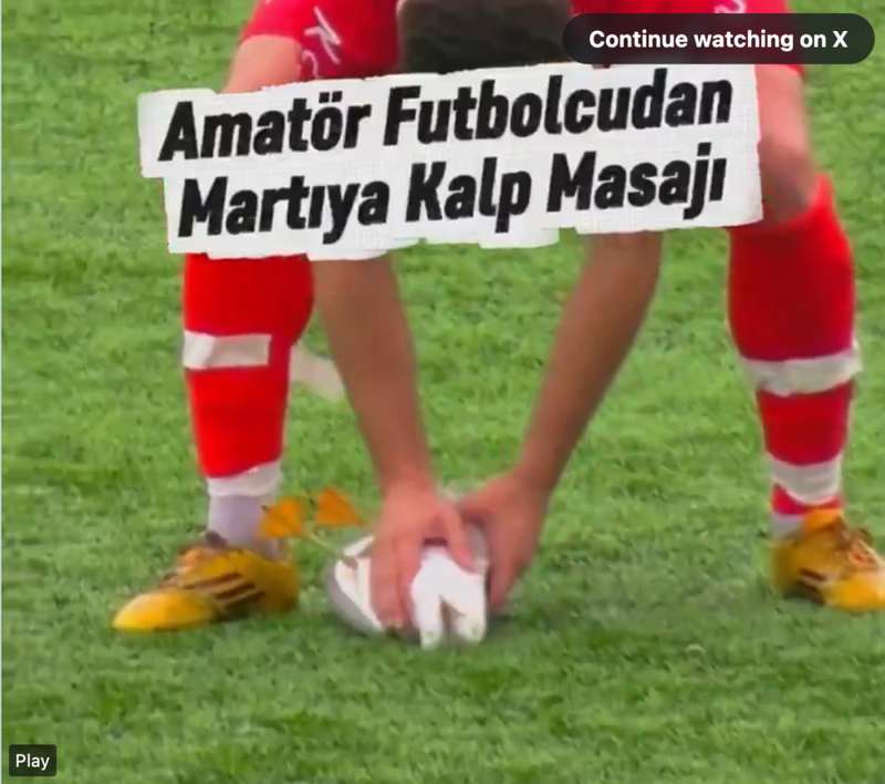  绿茵场上的生命抉择：业余联赛决赛中动物急救行为的技术复盘 体育新闻 绿茵场上的生命抉择：业余联赛决赛中动物急救行为的技术复盘 体育新闻