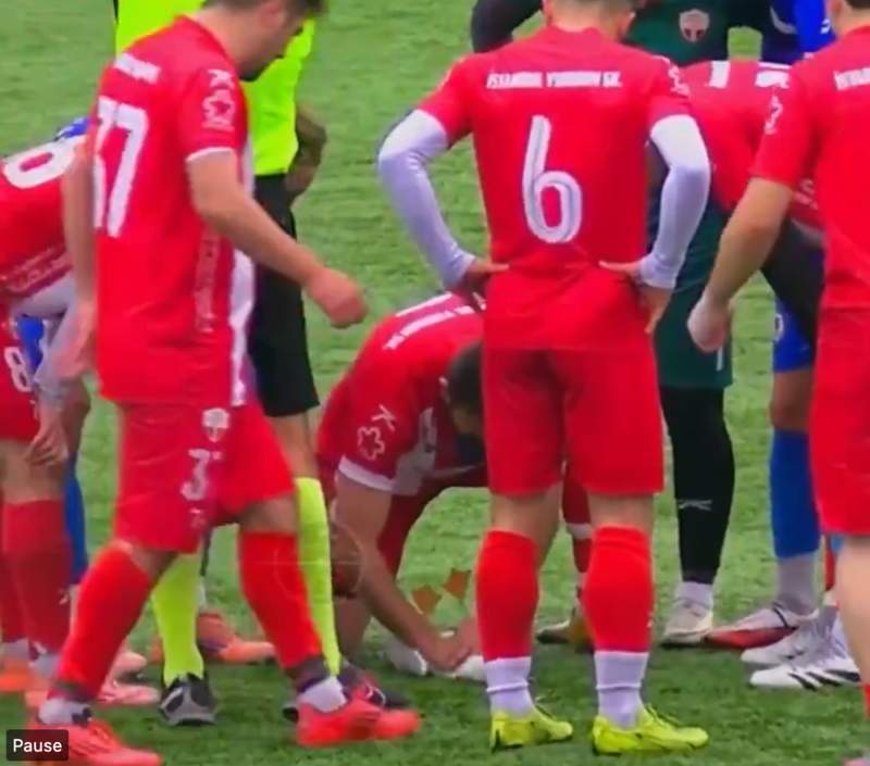  绿茵场上的生命抉择：业余联赛决赛中动物急救行为的技术复盘 体育新闻 绿茵场上的生命抉择：业余联赛决赛中动物急救行为的技术复盘 体育新闻