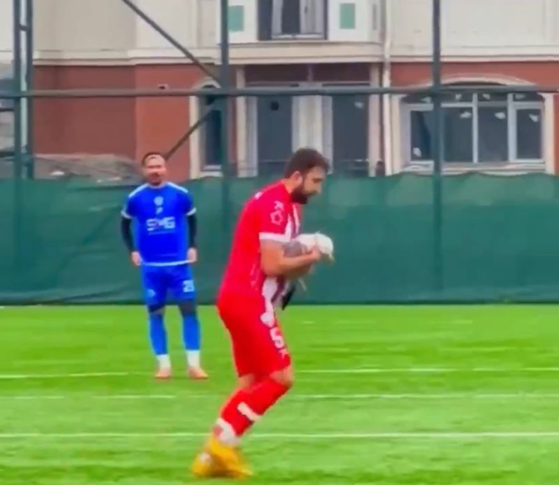  绿茵场上的生命抉择：业余联赛决赛中动物急救行为的技术复盘 体育新闻 绿茵场上的生命抉择：业余联赛决赛中动物急救行为的技术复盘 体育新闻