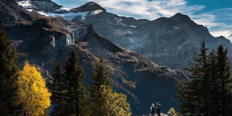  【医学突破】0.7毫米精度的神经密码：阴蒂解剖学迟到的28年与3D重构革命 新闻 【医学突破】0.7毫米精度的神经密码：阴蒂解剖学迟到的28年与3D重构革命 新闻