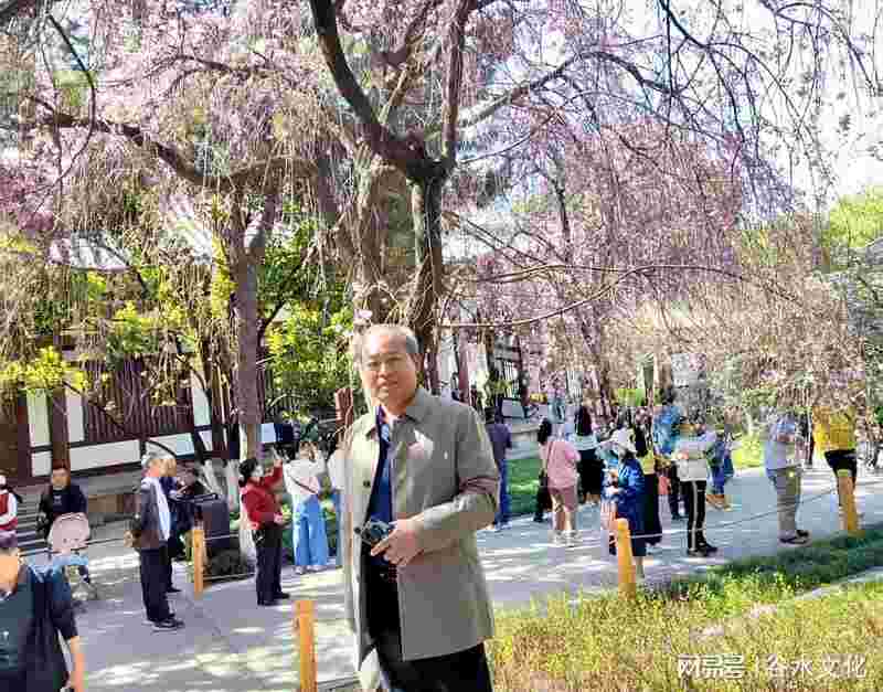 他在烟雨江南里找到了自己的艺术语言：画家张羽的水墨人生
