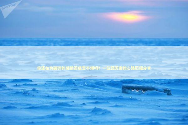 你还在为破碎的感情而痛苦不堪吗？一位经历者的心路历程分享 新闻