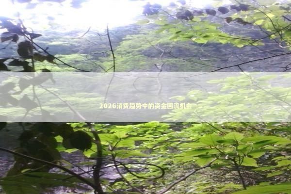 2026消费趋势中的资金回流机会 新闻
