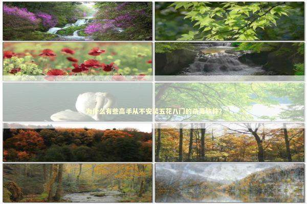 为什么有些高手从不安装五花八门的杀毒软件？