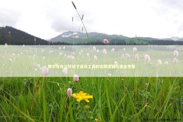 数字化办公环境下通讯工具的选择逻辑与安全考量 数字化办公环境下通讯工具的选择逻辑与安全考量 IT技术