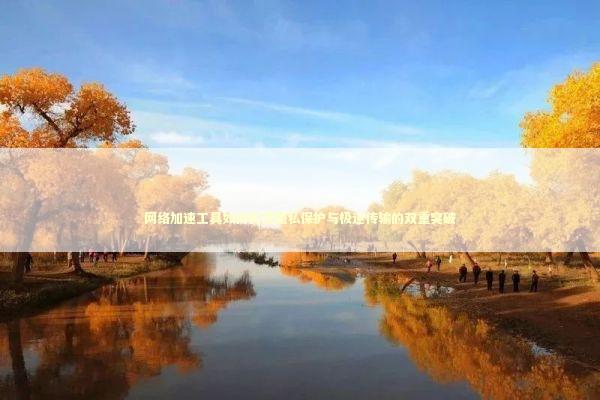 网络加速工具如何实现隐私保护与极速传输的双重突破 IT技术